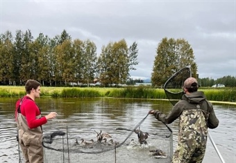 Waterfowl Banding at Creamers Field