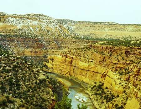 Sporting Businesses Rally Around Protections for the Dolores Canyons