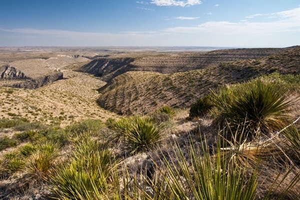Two-Year Protection Initiated for Pecos River Watershed
