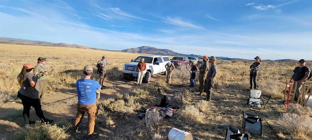 Beers, Bands, and Bitterbrush Stands - Public Land Stewardship with the California & Nevada BHA Chapters