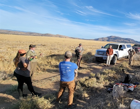 Beers, Bands, and Bitterbrush Stands - Public Land Stewardship with the California & Nevada BHA Chapters