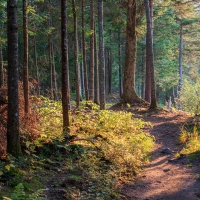 Help Guide Planning at Keweenaw Point and Fort Wilkins State Park