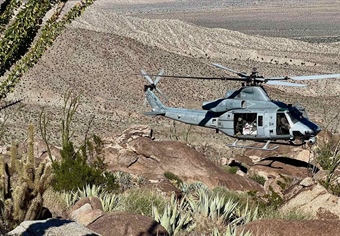 US Marines Provide Helicopter Support for Bighorn Sheep Habitat Improvement