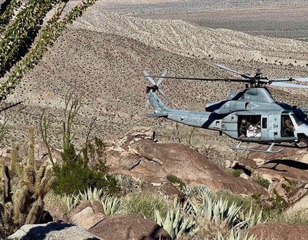 US Marines Provide Helicopter Support for Bighorn Sheep Habitat Improvement