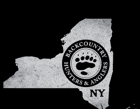 NY BHA November '24 Newsletter