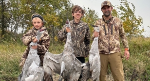 CALL TO ACTION: Support a Sandhill Crane Season in Wisconsin