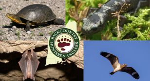 New Hampshire Fish & Game Wildlife Action Plan Survey