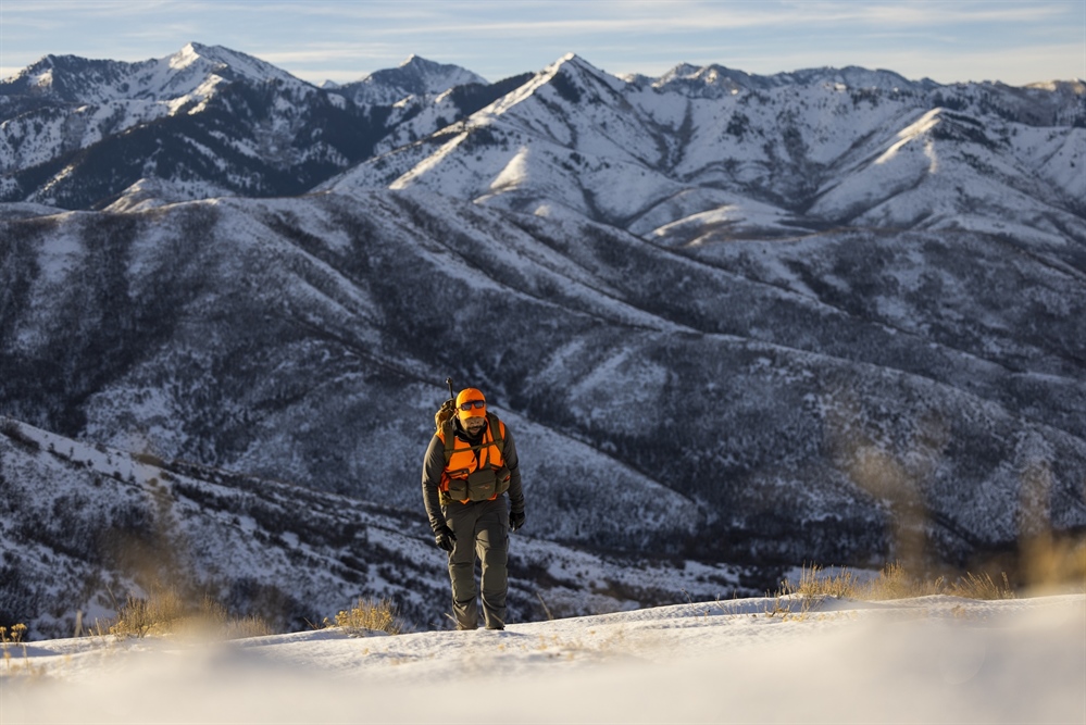 Defending Our Shared Public Lands: A Call to Action