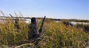 MINNESOTANS: Vote "YES" To Renew Lottery Funding to Natural Resources