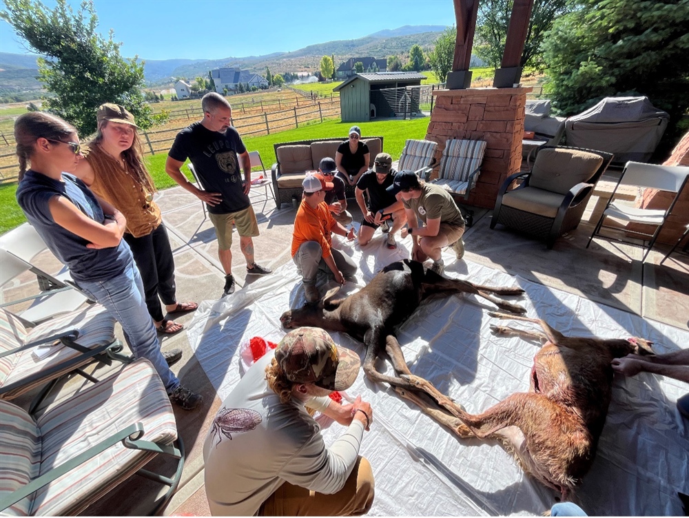 Hunting for Sustainability: A Participant’s Perspective