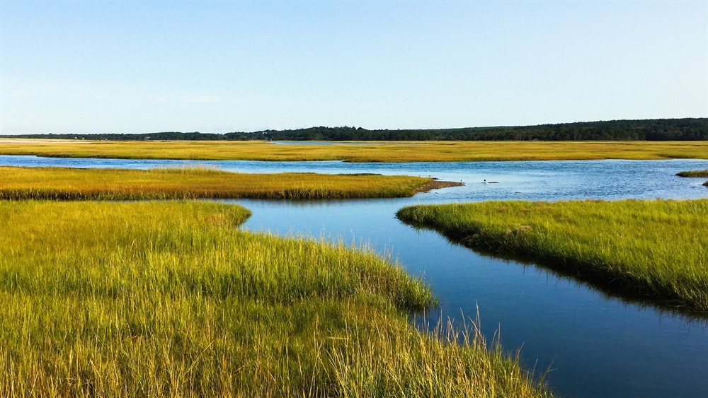 Rhode Island BHA Submits Comments to NOAA Coastal Program Evaluation