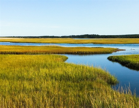 Rhode Island BHA Submits Comments to NOAA Coastal Program Evaluation