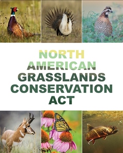 The U.S. House of Representatives Introduces the North American Grasslands Conservation Act