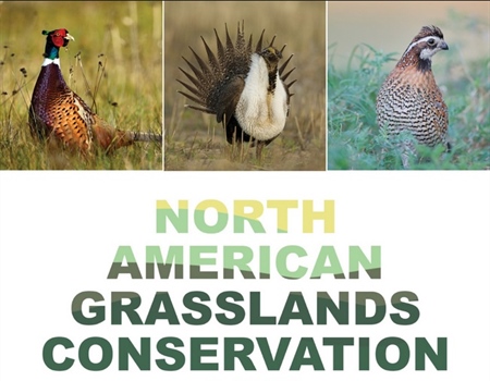 The U.S. House of Representatives Introduces the North American Grasslands Conservation Act