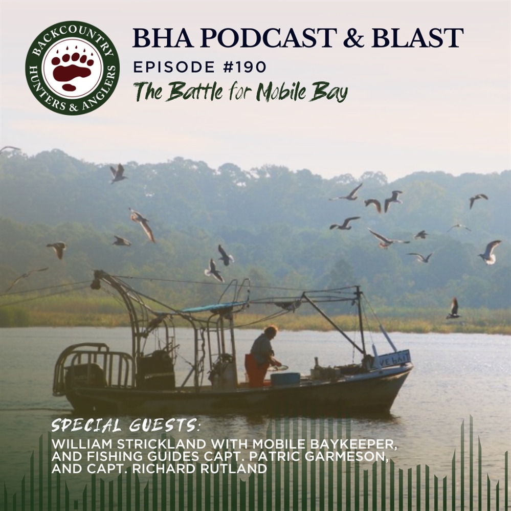BHA Podcast & Blast, Ep. 190: The Battle for Mobile Bay