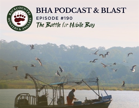 BHA Podcast & Blast, Ep. 190: The Battle for Mobile Bay