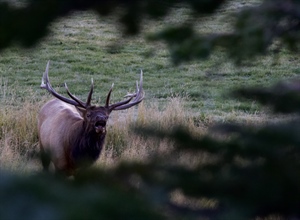 New Senate Bill Would Conserve Over 700,000 Acres of Colorado Public Lands