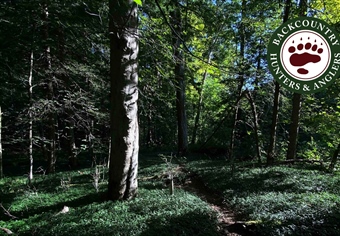 NY Zoar Valley Multiple Use Area Management Being Questioned