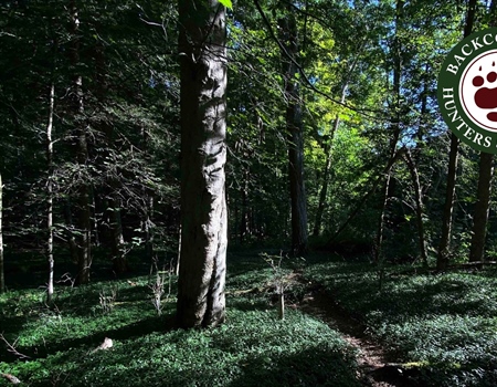 NY Zoar Valley Multiple Use Area Management Being Questioned