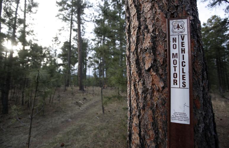BHA Illegal Motorized Use Reward: Hunters Speak Up to Protect Habitat in the White River National Forest