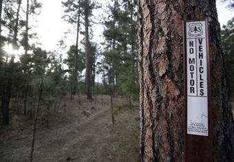 BHA Illegal Motorized Use Reward: Hunters Speak Up to Protect Habitat in the White River National Forest