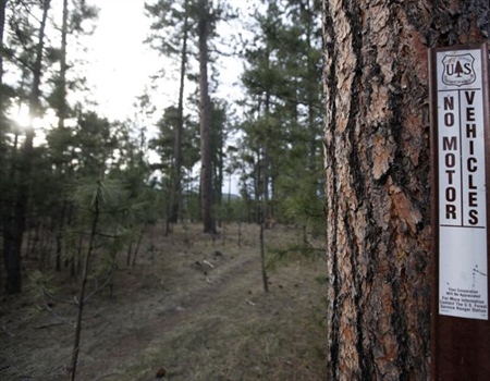 BHA Illegal Motorized Use Reward: Hunters Speak Up to Protect Habitat in the White River National Forest