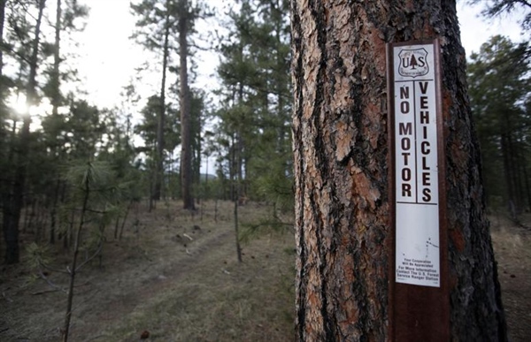 BHA Illegal Motorized Use Reward: Hunters Speak Up to Protect Habitat in the White River National Forest