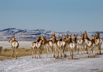 Hunters Cannot Dismiss the Magnitude of Utah’s Public Lands Lawsuit