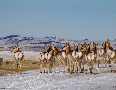 Hunters Cannot Dismiss the Magnitude of Utah’s Public Lands Lawsuit