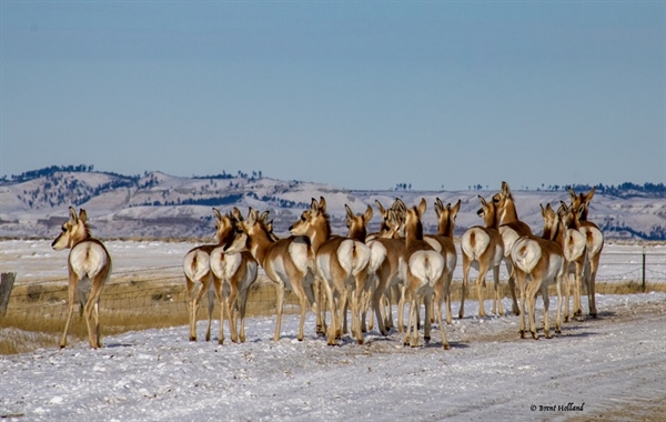 Hunters Cannot Dismiss the Magnitude of Utah’s Public Lands Lawsuit