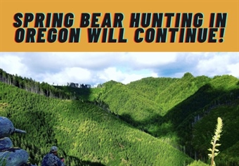 Spring Bear Hunting to Continue in Oregon