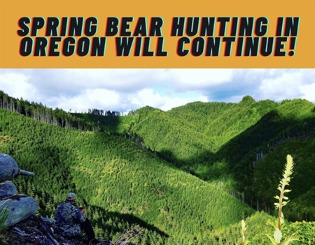 Spring Bear Hunting to Continue in Oregon