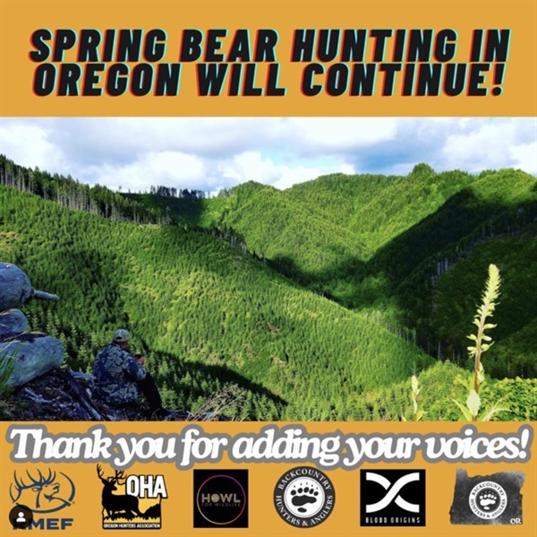 Spring Bear Hunting to Continue in Oregon