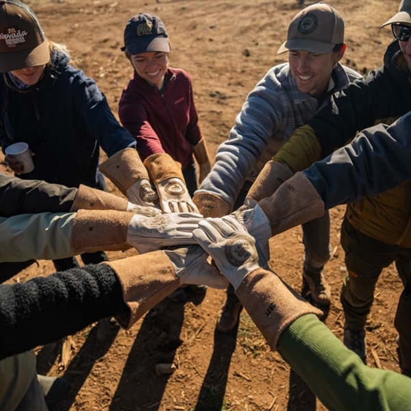 The Public Lands Rule could be great for conservation – we should give it a chance