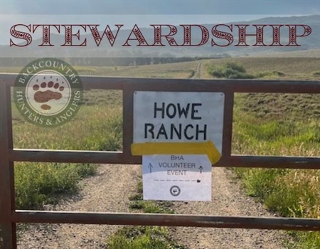 Howe Ranch Fence Removal
