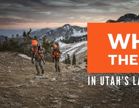 Keep Public Lands Out of Utah's Greedy Hands