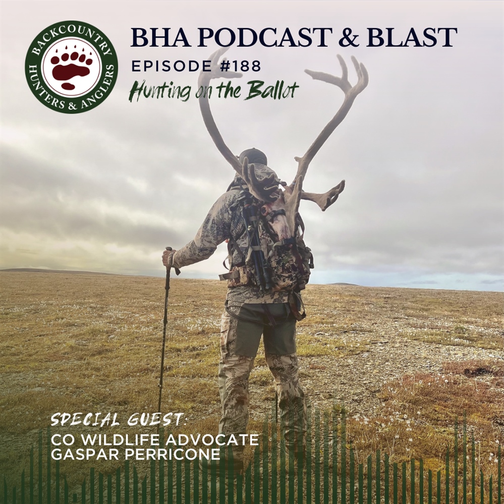 BHA Podcast & Blast, Ep. #188: Hunting on the Ballot with Gaspar Perricone