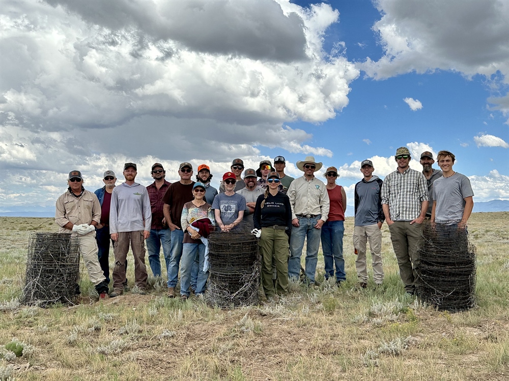 Two Miles of Sheep Fencing Removed in New Mexico