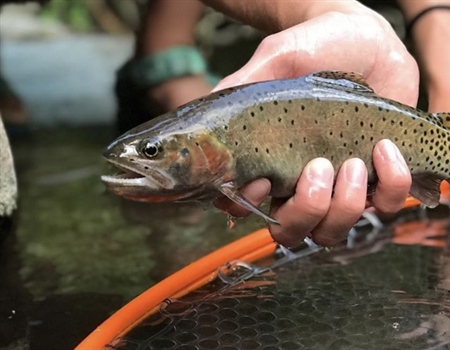8/15/24 NM Habitat Stamp Citizen Advisory Committee - Meeting Recap