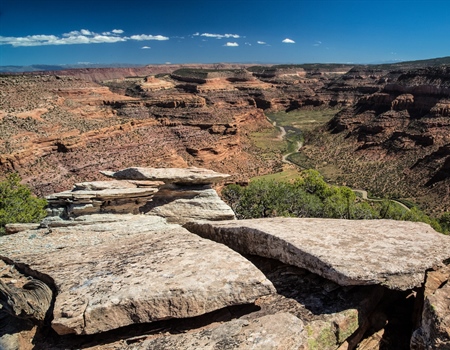 Hunters And Anglers Call For President Biden To  Designate Dolores River Canyons National Monument