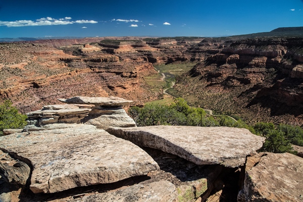 Hunters And Anglers Call For President Biden To  Designate Dolores River Canyons National Monument