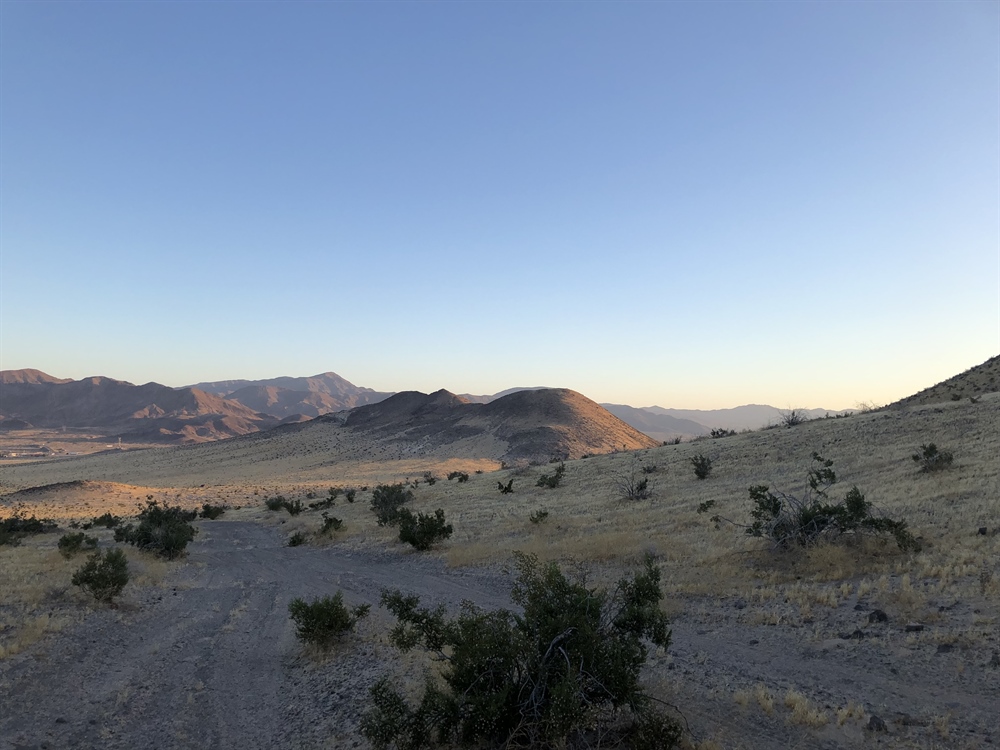 Bighorn Sheep Survey 2024 Re-Cap