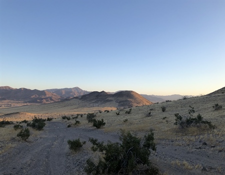 Bighorn Sheep Survey 2024 Re-Cap
