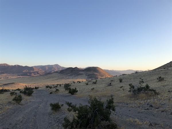 Bighorn Sheep Survey 2024 Re-Cap