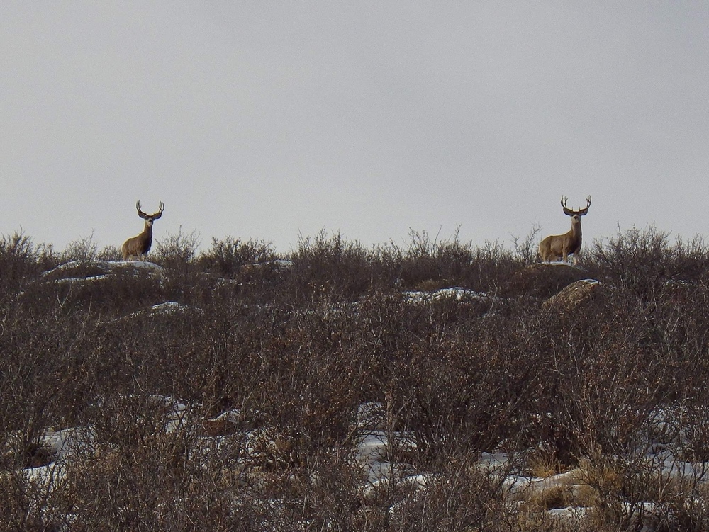 Utah Attempts to Wrest Public Lands Out of Public Hands