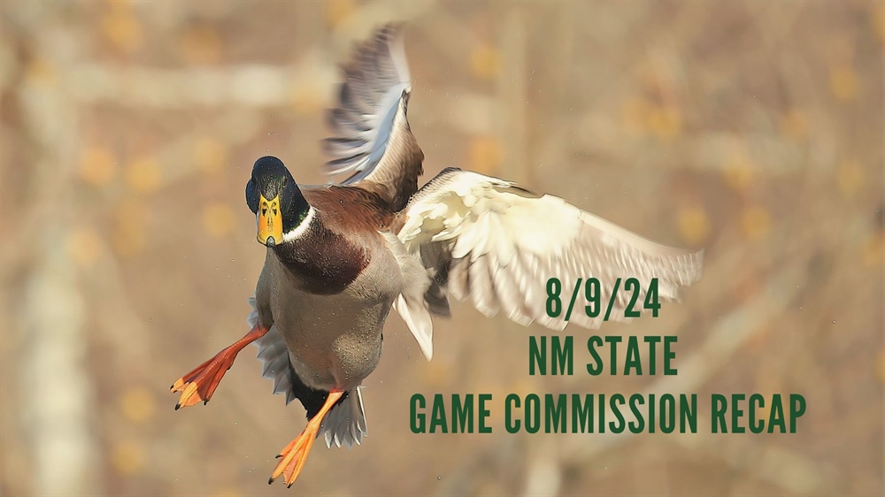 8/9/24 New Mexico State Game Commission Recap