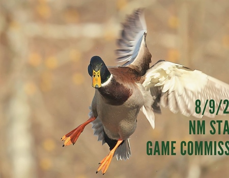 8/9/24 New Mexico State Game Commission Recap