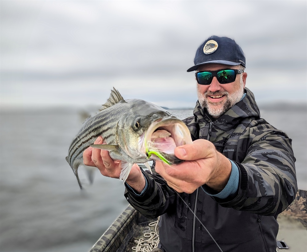 New England BHA Continues Support for Mass DMF Striped Bass Study