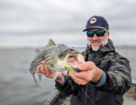 New England BHA Continues Support for Mass DMF Striped Bass Study
