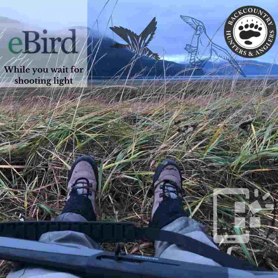 Using the eBird App to Further Citizen Science Efforts in Bird Hunting Species & Habitat Conservation